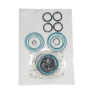 BG00397111 SEAL KIT